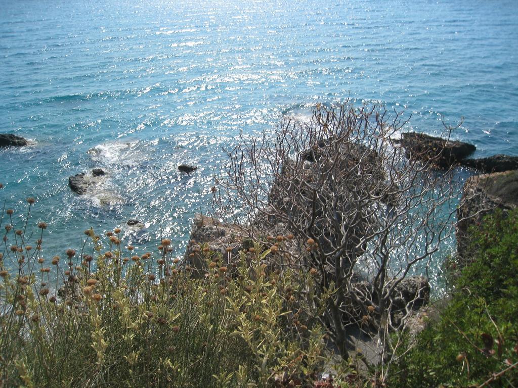 Avia Holiday Homes Εξωτερικό φωτογραφία
